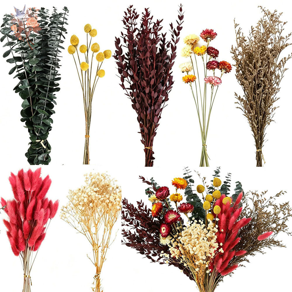 Dried Flower Bulk - مجموعة كبيرة من الزهور المجففة، 7