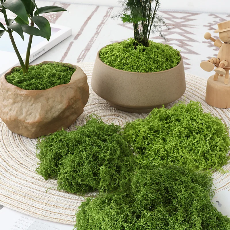 Terrarium Moss Art - قطعة واحدة من العشب الصناعي، حصيرة