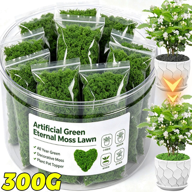 Terrarium Moss Art - نباتات خضراء اصطناعية، طحالب الحياة الأبدية،