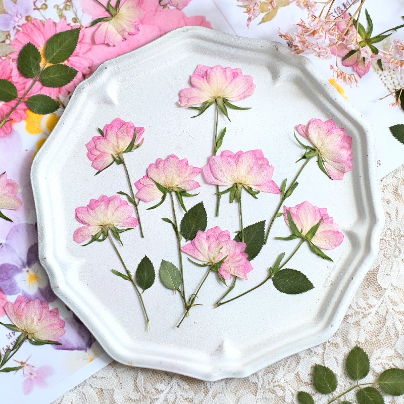 Resin Craft Ideas - 12 قطعة، زهور مجففة حقيقية مضغوطة