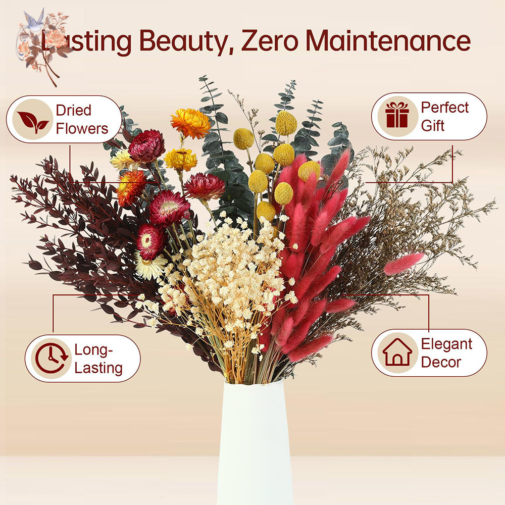 مجموعة كبيرة من الزهور المجففة - مراجعة Dried Flower Bulk وسعره