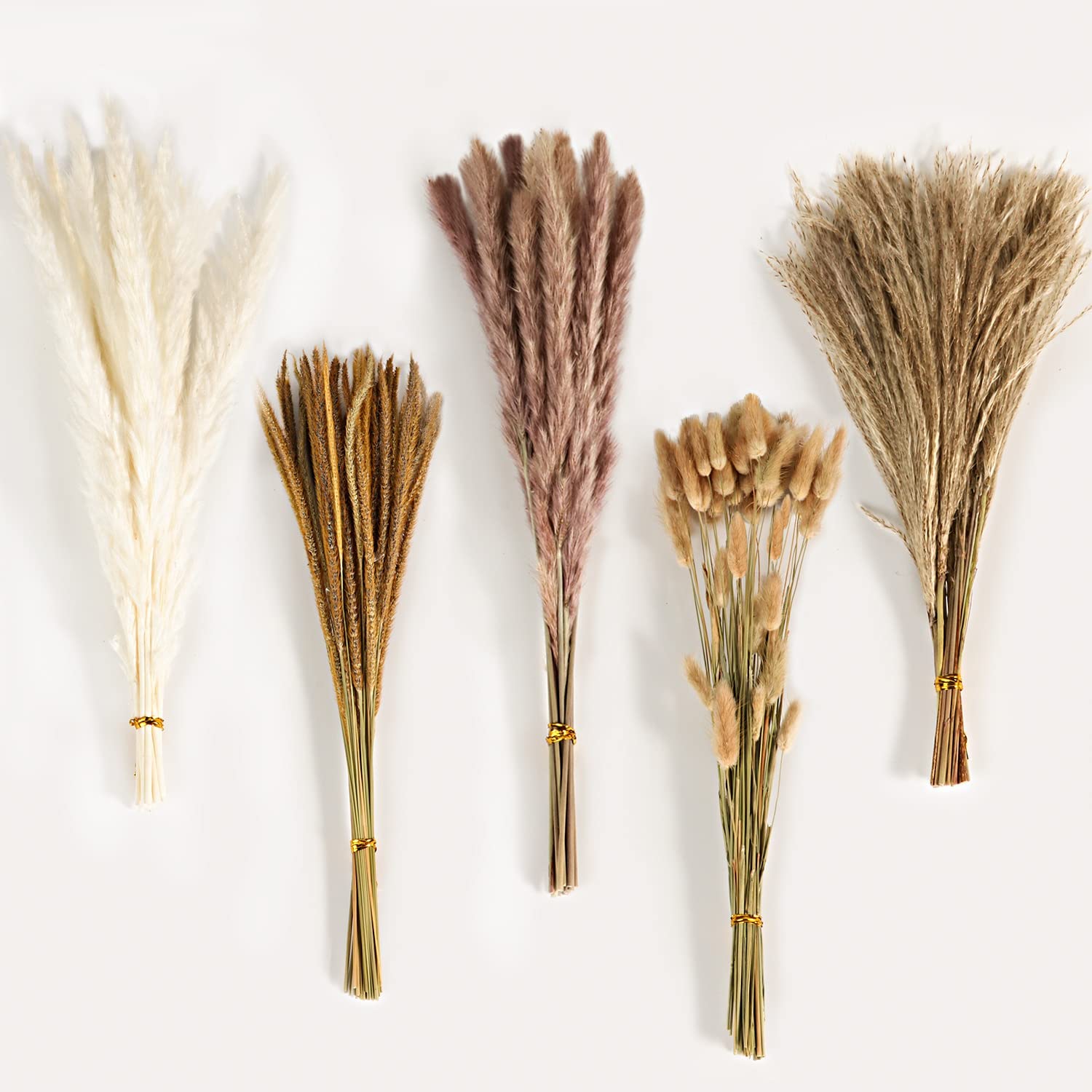باقة زهور مجففة مختلطة بتصميم  - مراجعة Dried Flower Bulk وسعره