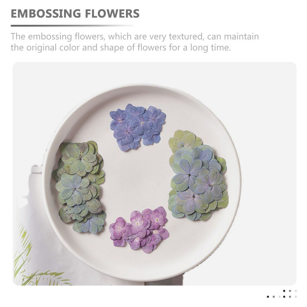 30 قطعة من الزهور المجففة المض - مراجعة Dried Flower Bulk وسعره