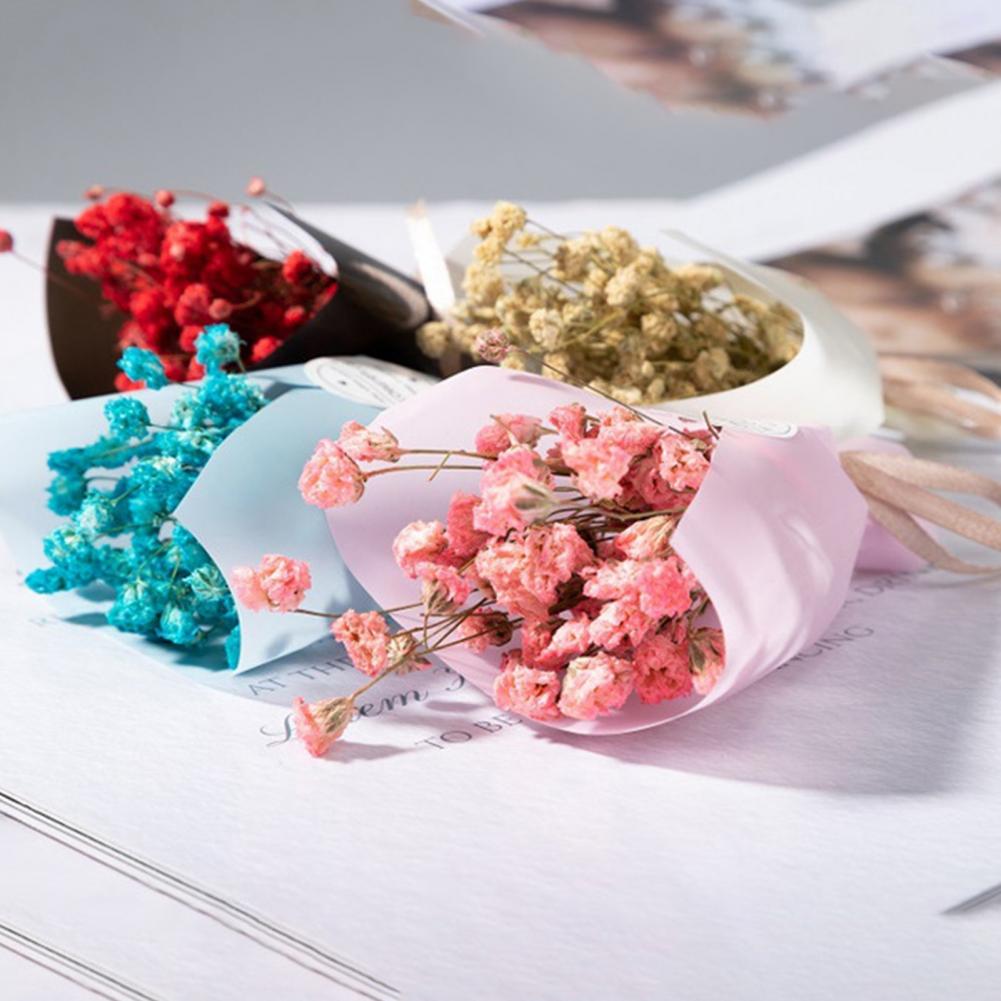 باقة جيبسوفيلا صناعية ، بانيكو - مراجعة Dried Flower Bulk وسعره