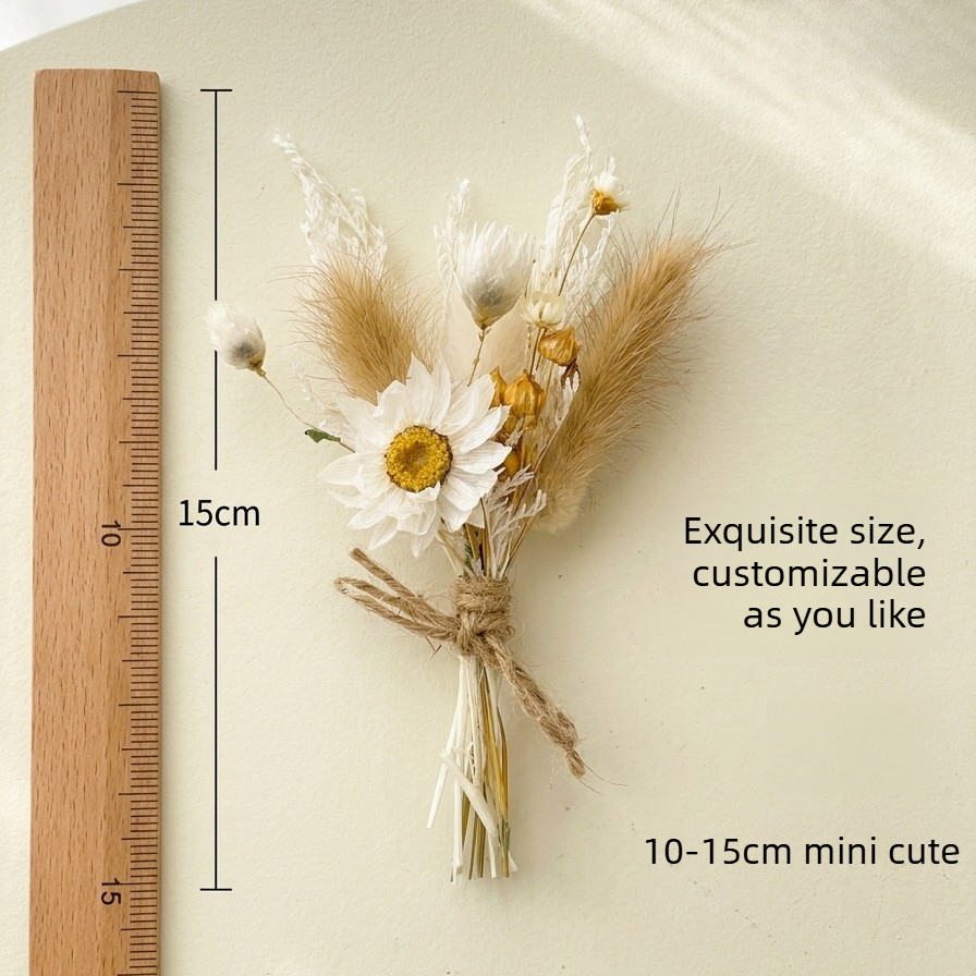 باقة زهور مجففة صغيرة طبيعية م - مراجعة Dried Flower Bulk وسعره