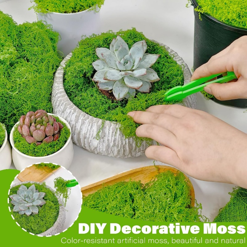 نباتات خضراء اصطناعية، طحالب ا - مراجعة Terrarium Moss Art وسعره