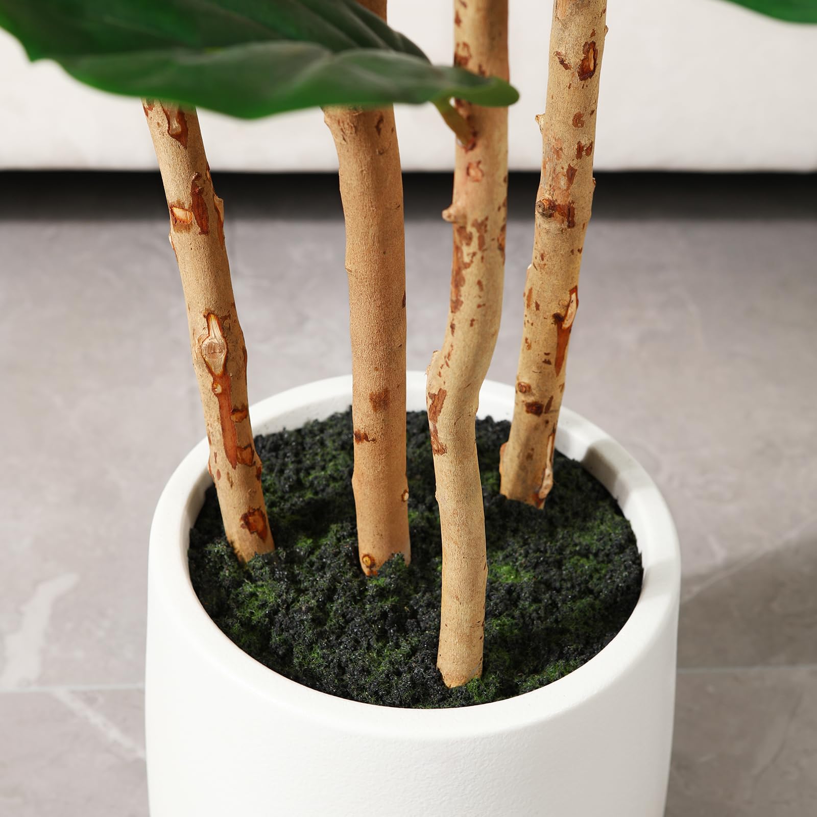 شجرة تين فايلد اصطناعية مع وعا - مراجعة Terrarium Moss Art وسعره